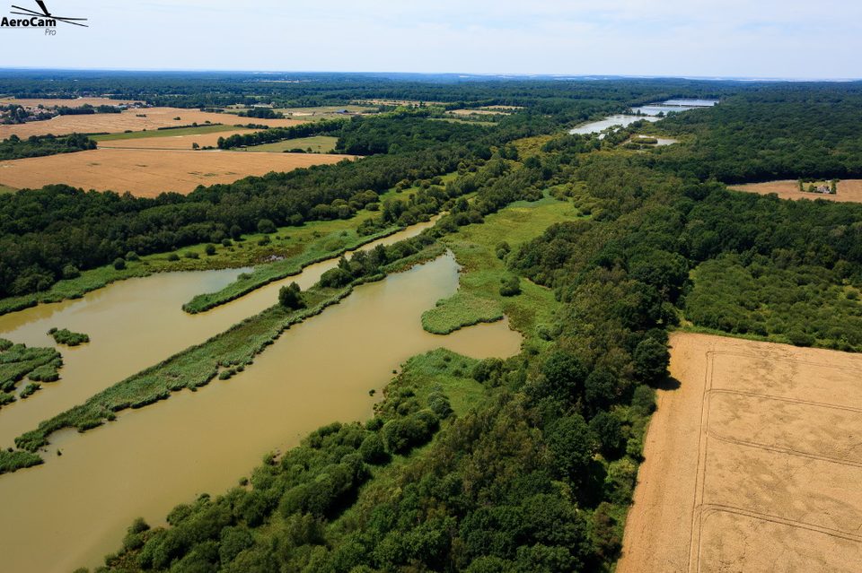 Boucle VTC/VAE - Montfort-l'Amaury et les Etangs de Hollande
