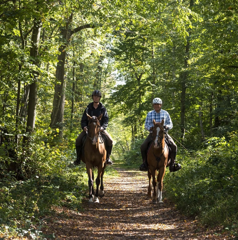 En compagnie de Rousseau à cheval