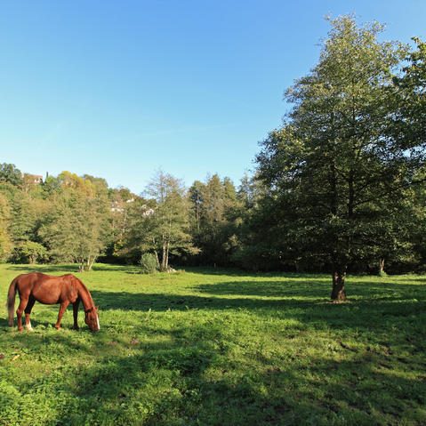 La trinité vu depuis le haras de la Geneste