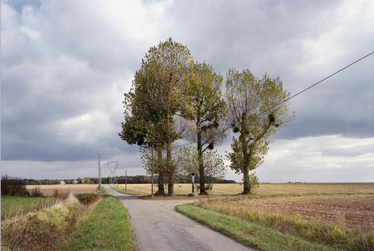 Le Mesnil, rue de la Croix Mathurine