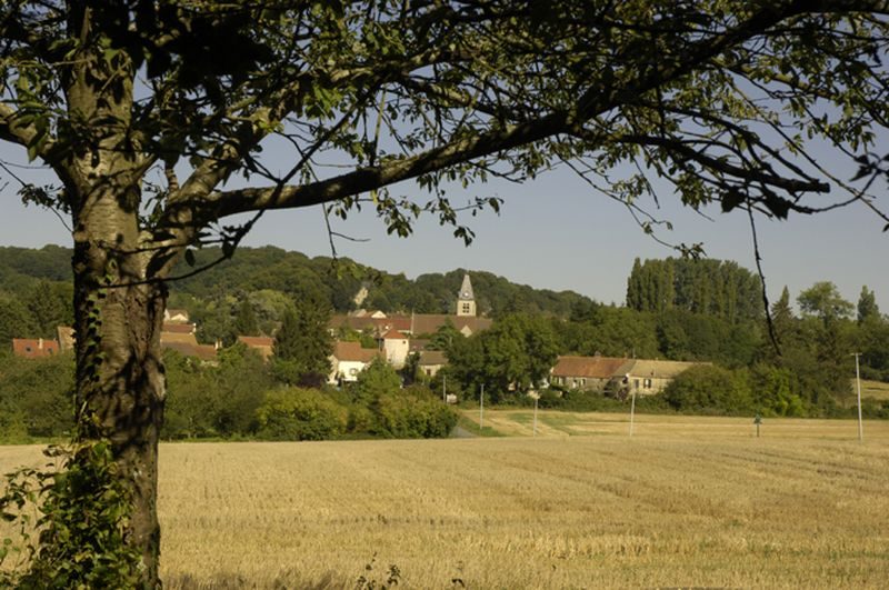 B3 - Les herbes de Chaudry