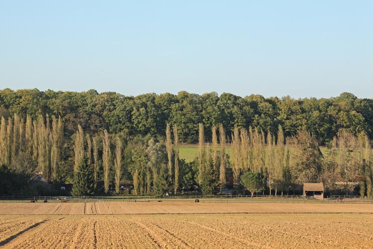 Les moulins de Saint-Arnoult