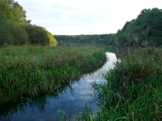 Vallée intime et rigoles royales