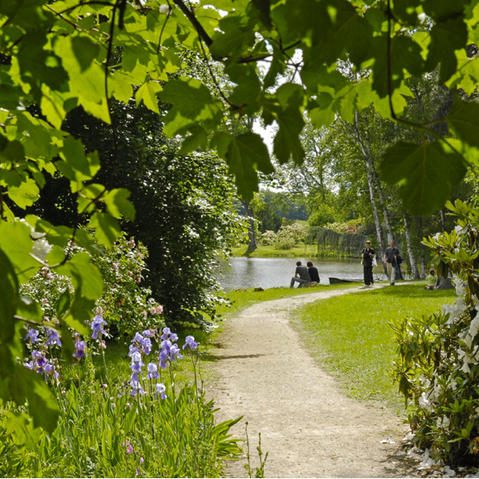 Vie rurale et vie de Château