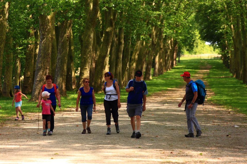 autour du chateau de courances 7