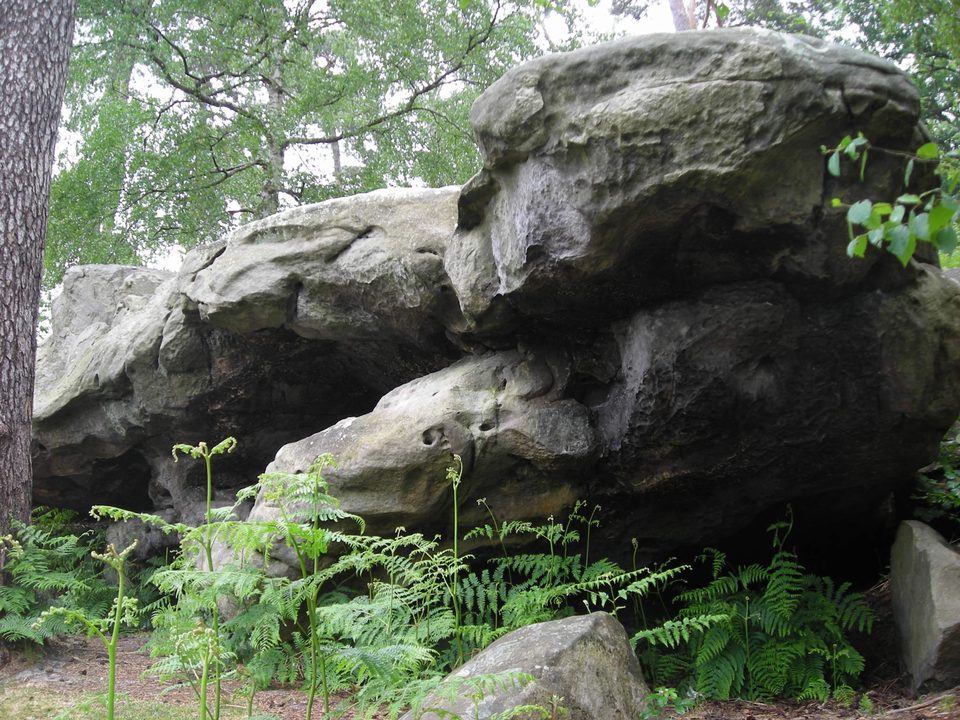 Ermenonville, une atmosphère de lande