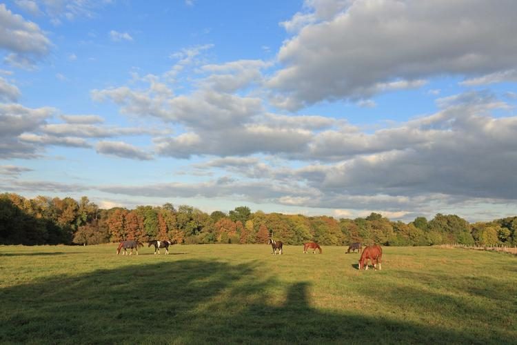 Prairie de la Ferme