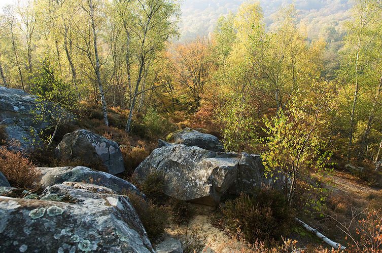 Reliefs et grès des vaux de Cernay