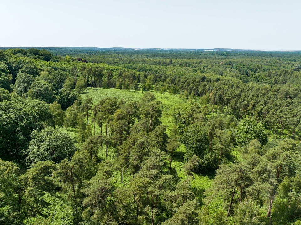 Forêt de Rambouillet et villages pittoresques