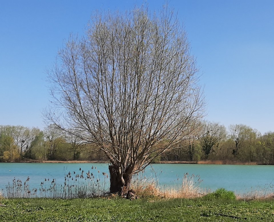 Vers les étangs de Pontpoint