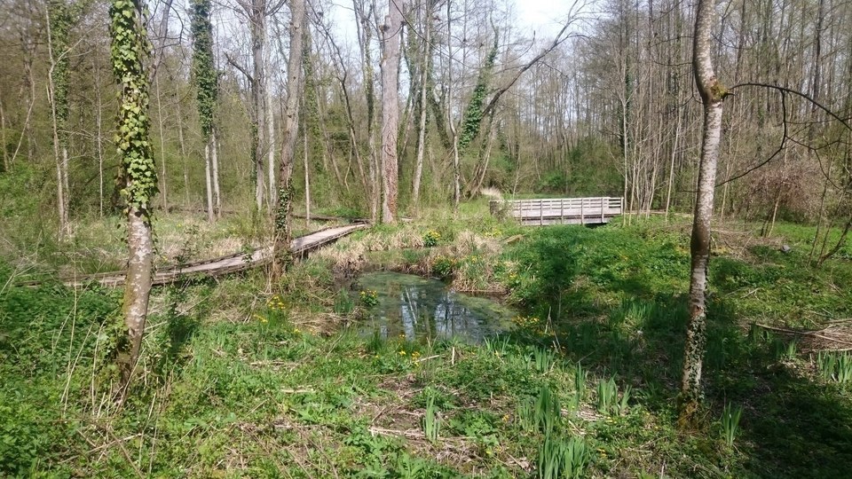 R4 - Chemin de fer, chemin et de terre