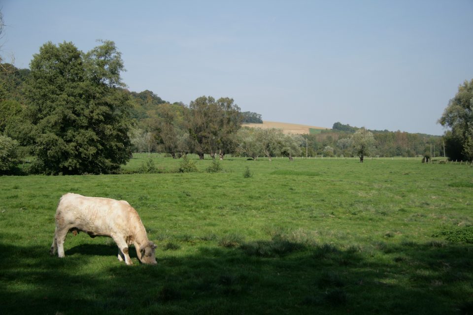 V3 - Coteaux et abords de l'Epte