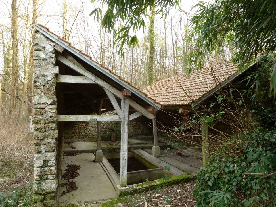P1060674