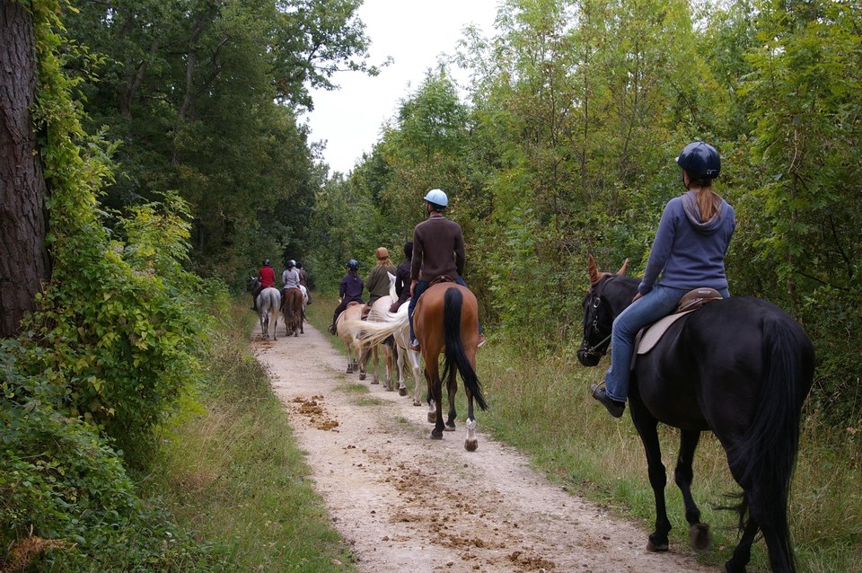Au coeur du Gâtinais français  - 62km