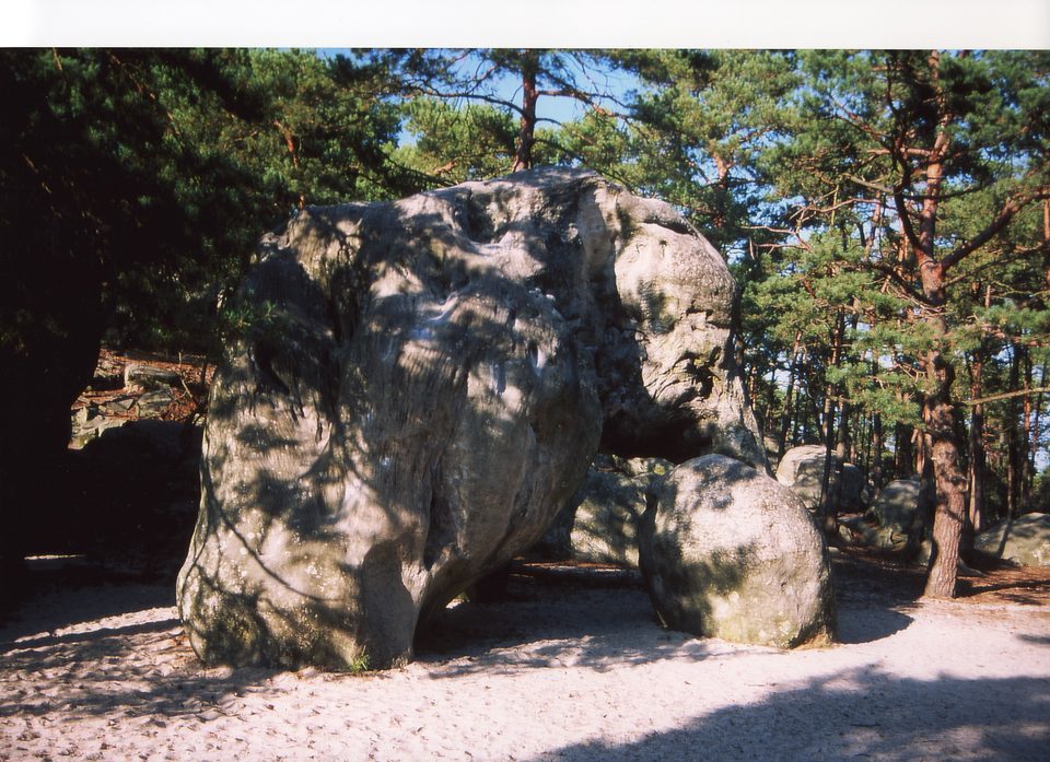 Boucle de randonnée de Larchant
