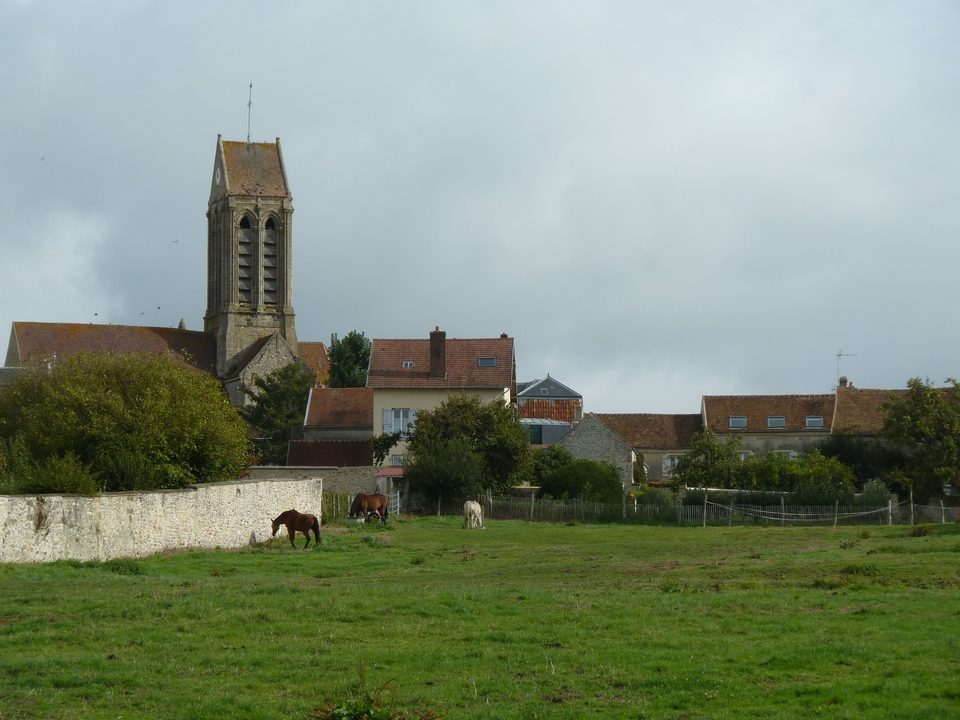 P1050312