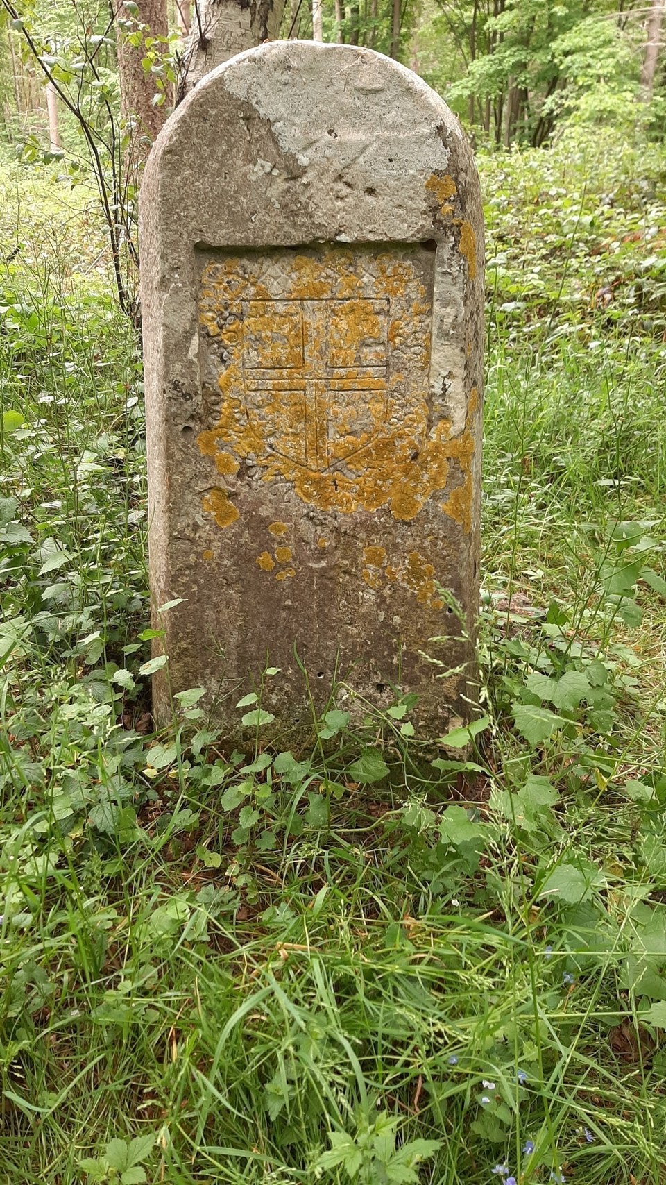 Grande boucle en forêt de chantilly