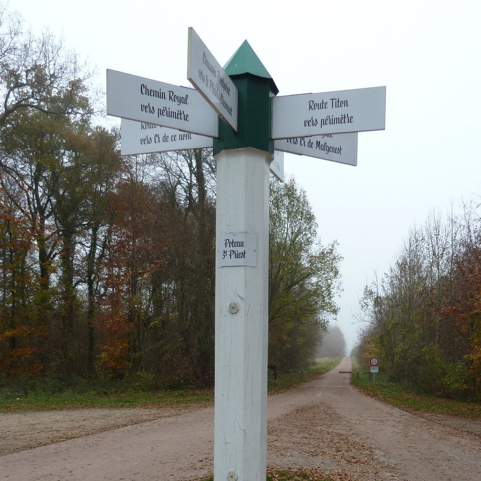 Liaison Senlis-forêt d'Halatte (V2)
