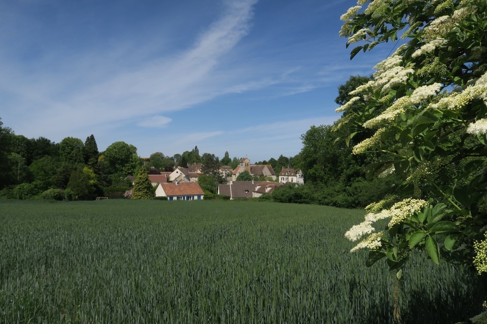 Sentier du patrimoine de Wy-dit-joli-village