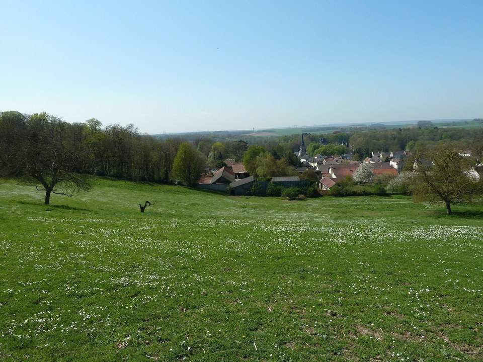 Vigny