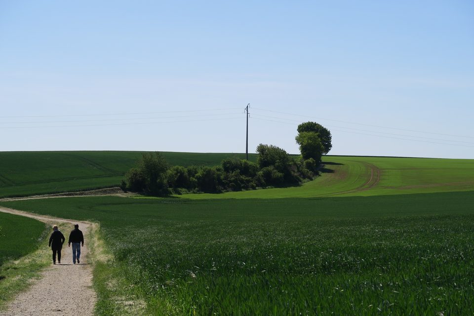Le plateau agricole ©PNR Vexin français