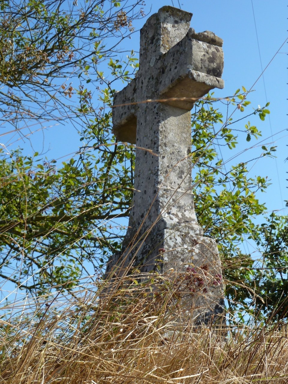 P1060253