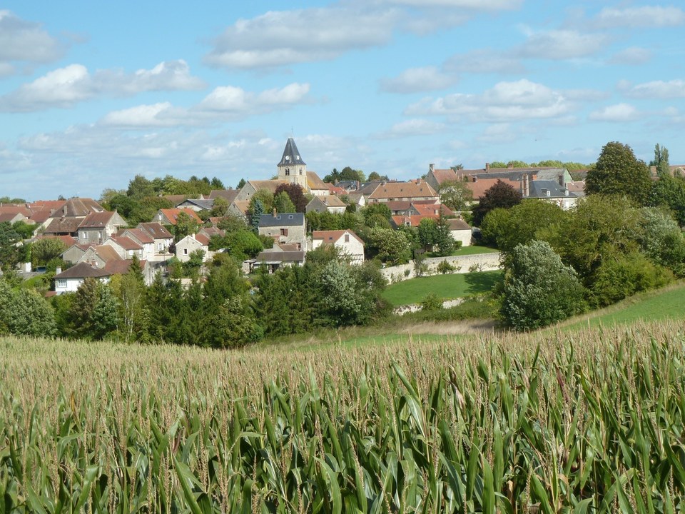 P1050252