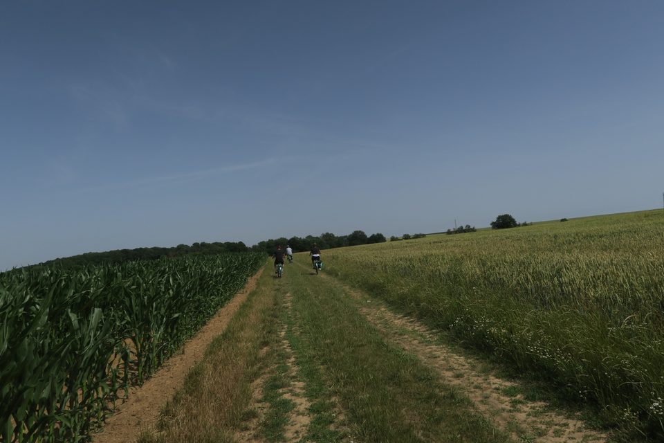 Balade sur le plateau agricole