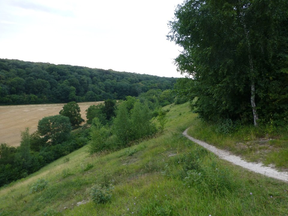Bois de la Tour du Lay