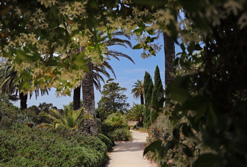 Jardin Emmanuel Lopez©M.Gasquy-PN de Port-Cros
