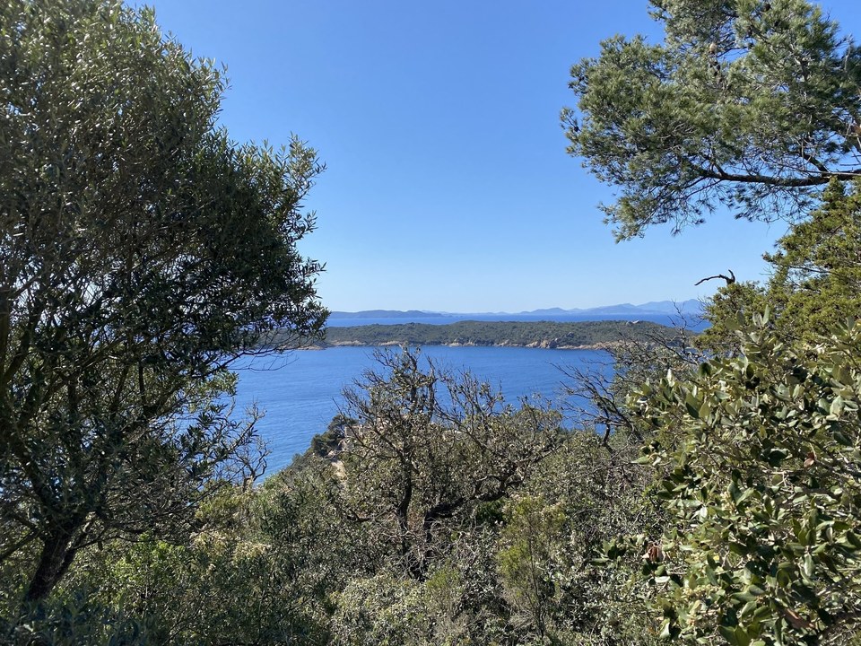 Port-Cros - Sentier des écrivains