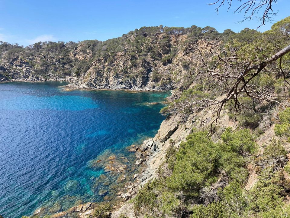 Crêtes de Porquerolles