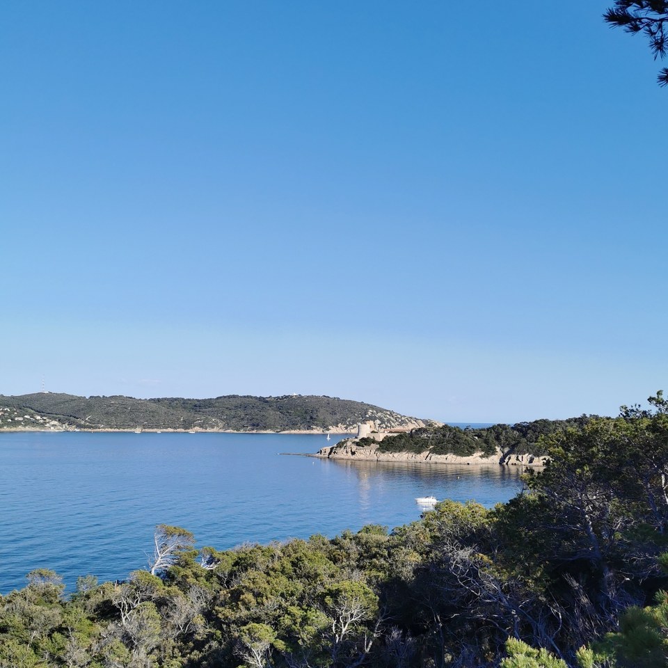 Port-Cros - Circuit des forts