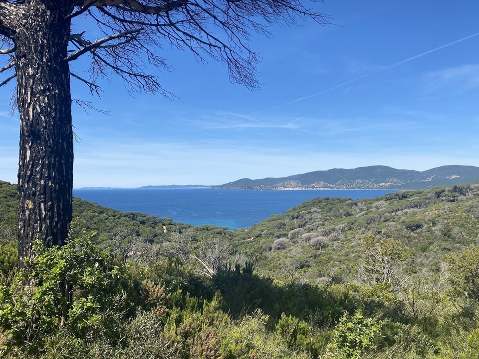 Vue du circuit