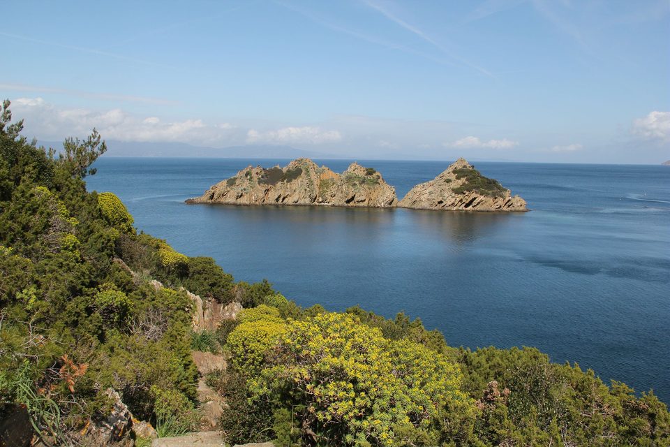 Port-Cros - Sentier des plantes