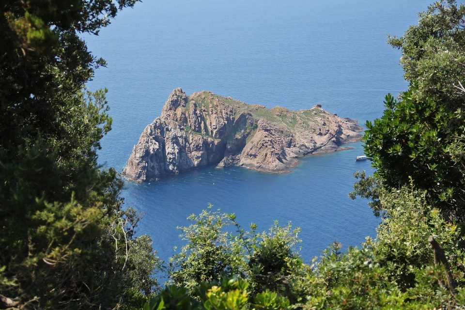 Vue sur l'ilot de la Gabinière