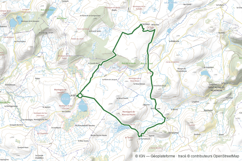 Jassy