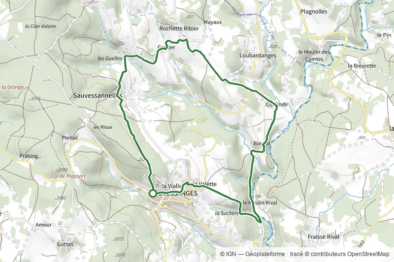 Sauvessannelles
