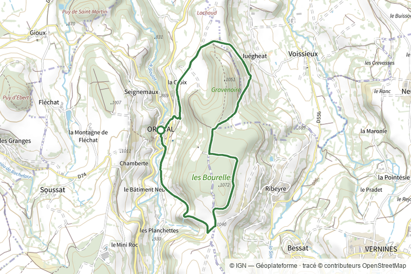 Bois des Bourelles