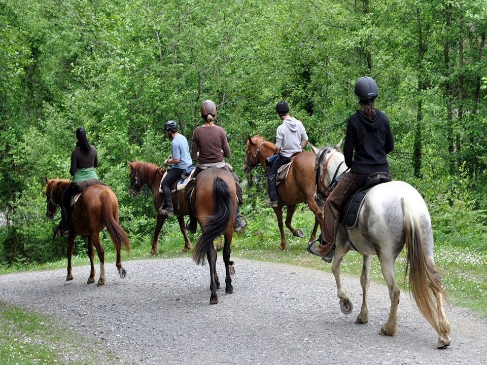 Le sentier des contrebandiers - De Saint-Palais à Ostabat - équestre étape n°1