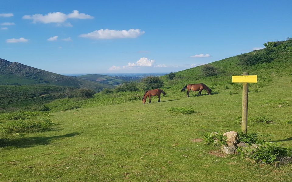 Le sentier des contrebandiers - De Sare à Biriatou - équestre étape n°9