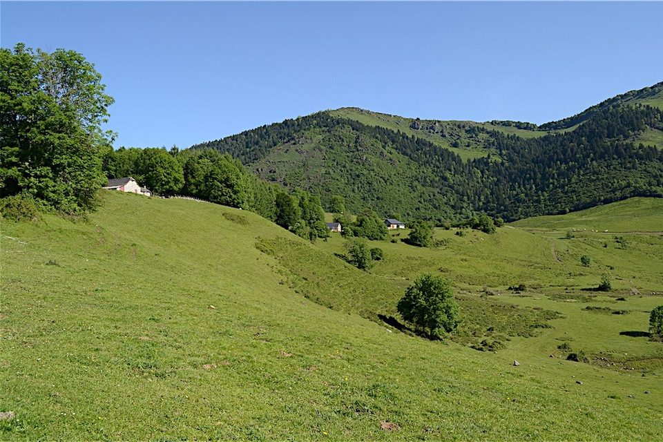 Le Turon de Técouère 