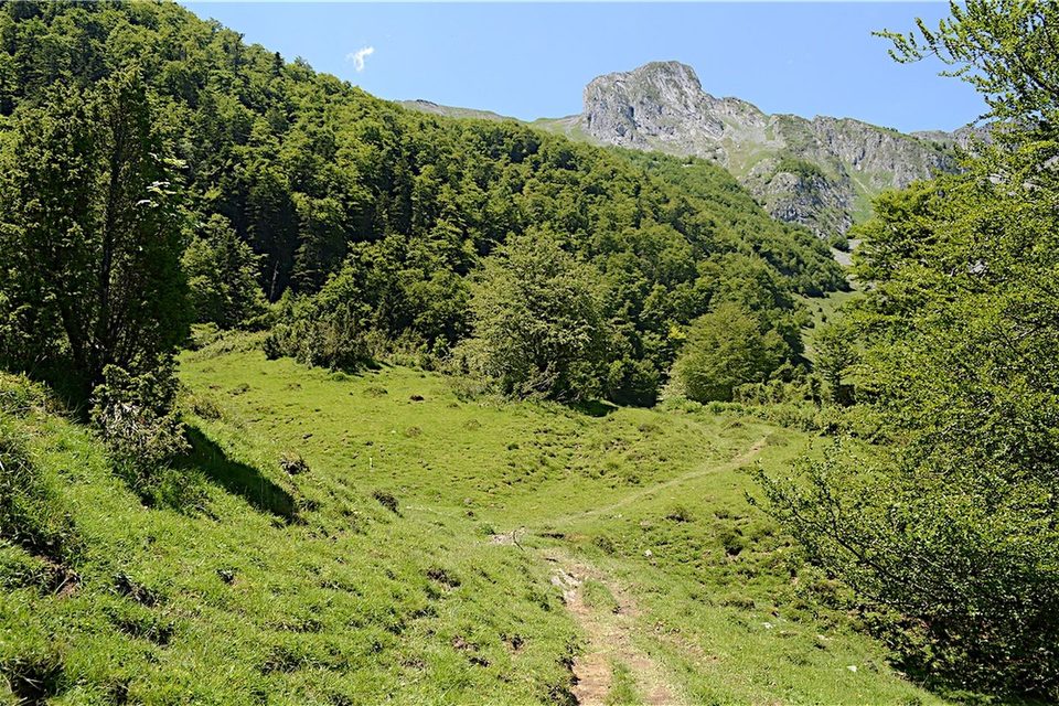 La cabane de Lasbordes 