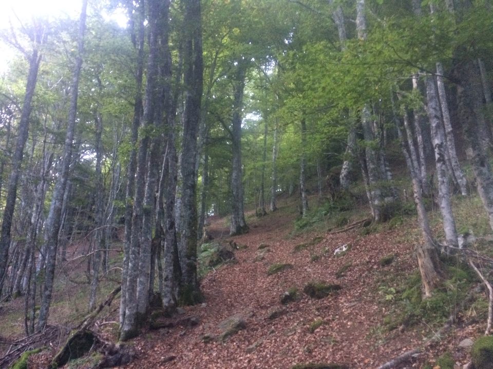 La cabane de Saoubiste