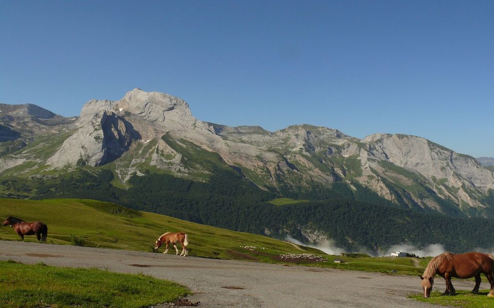 La descente Col d'Aubisque/Louvie-Soubiron  
