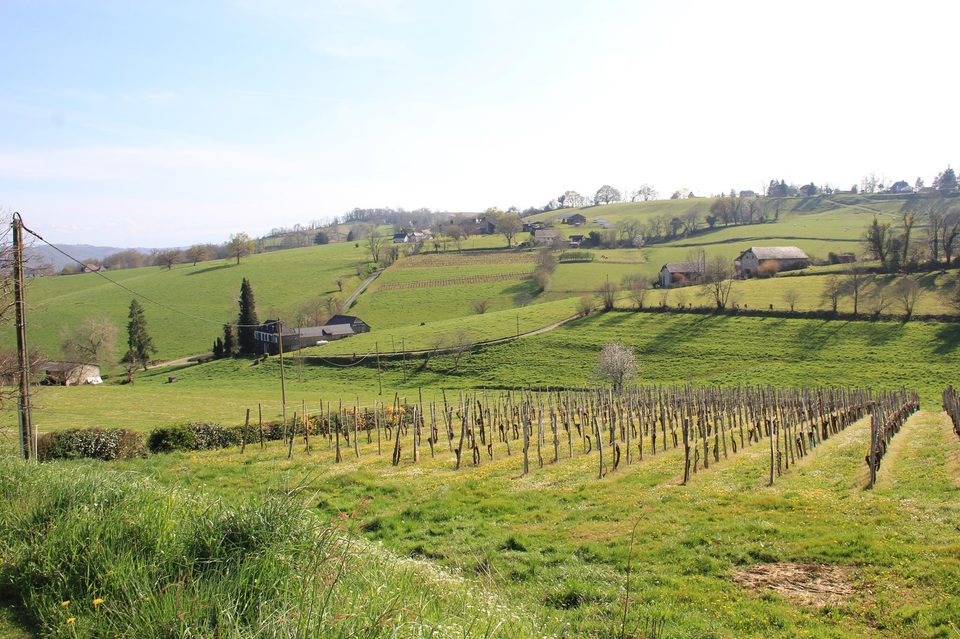 Sentier d'interprétation "Histoire de Monein"