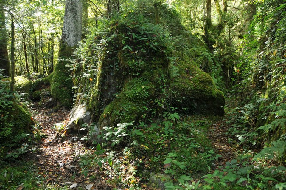 De Laruns à Gabas étape n°2