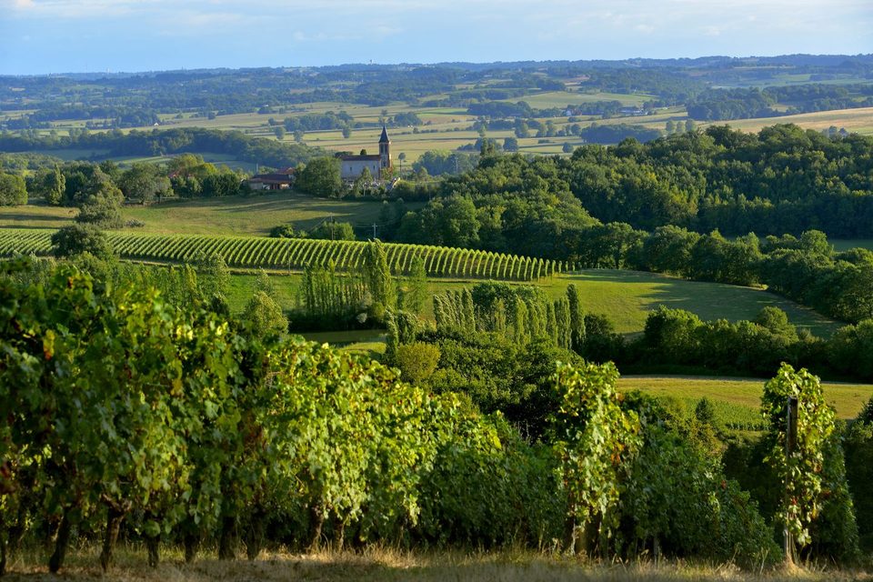 Châteaux et vignobles du Madiran - N°11