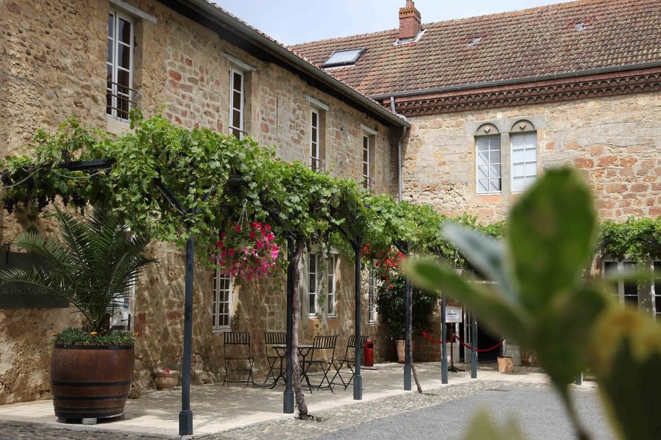 Châteaux et vignobles du Madiran - N°11