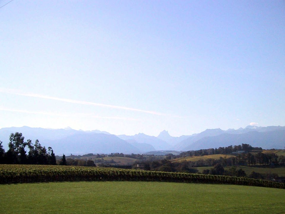 Les coteaux de Jurançon - N°1